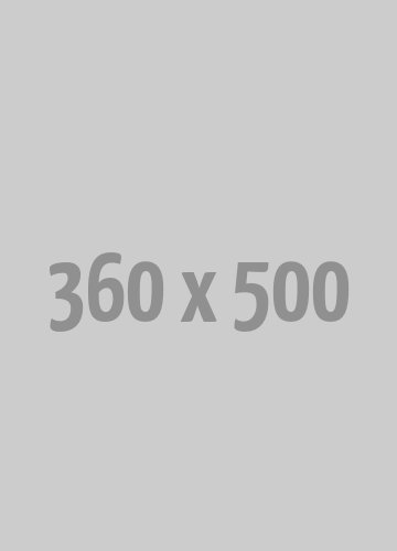 360x500